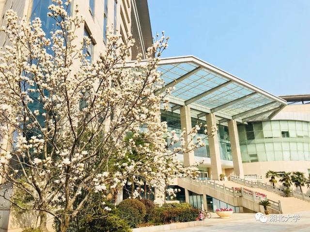 欧足联中文官网入口校长谢红星在学生班会上的特别寄语：热爱生活，珍爱生命